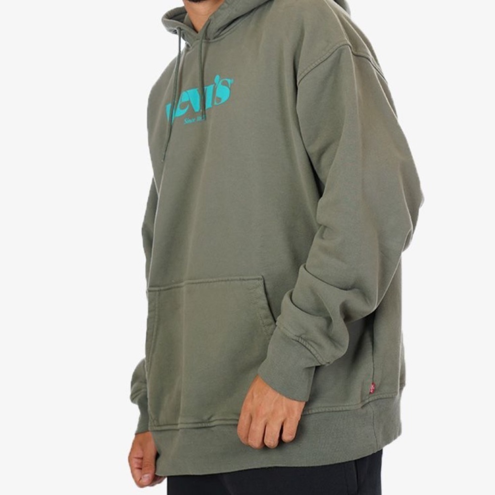 Levi's Relaxed Heavy Cotton Hoodie